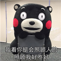 熊本熊强撩表情3