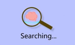搜索引擎搜索技巧[MP4视频] 快速了解搜索的检索与浏览
